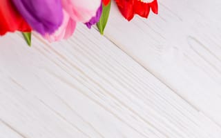 Картинка цветы, букет, тюльпаны, colorful, flowers, red, white, wood