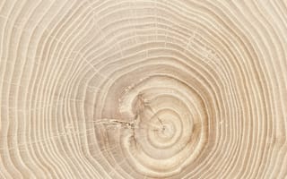 Картинка texture, circles, timber, pattern, ring, old, tree