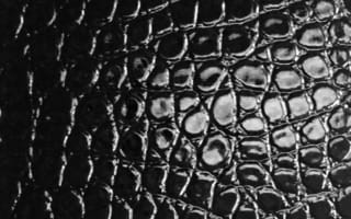 Картинка кожа, кожаный, текстура, текстурный, текстурные, текстуры, черный, глянцевый