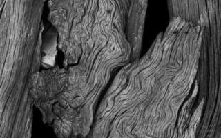 Картинка деревянный, деревянная, текстурный, текстурные, текстура, текстуры, серый, черно-белый, черный, монохром, монохромный