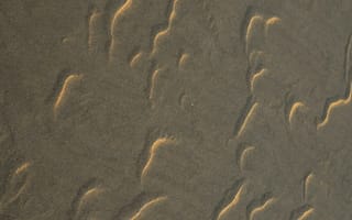 Картинка песок, песчаный, текстурный, текстурные, текстура, текстуры