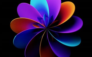 Картинка Черный, Лепестки, Flower Of Light, Abstract, Цветок Света, Абстракция