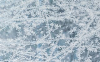 Картинка мороз, узоры, зима, лед, прозрачный, стекло, холод