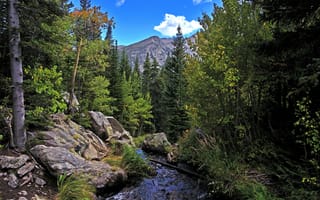 Картинка деревья, скалы, лес, пейзаж, река, осень, горы, rocky mountain national park
