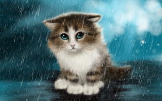 Картинка арт, под дождём, котенок