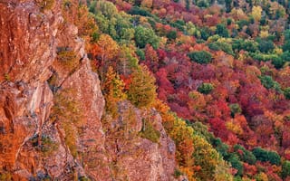 Картинка деревья, скалы, чиппева, лес, багрянец, сша, осень, мичиган