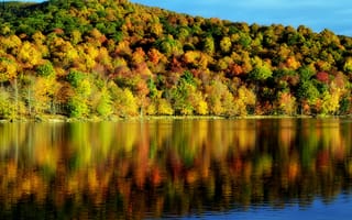 Обои деревья, красота, время года, отражение, пейзаж, природа, вода, осень