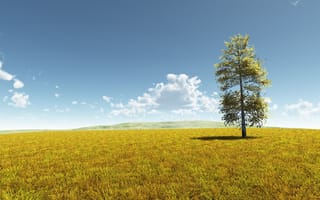 Картинка небо, дерево, golden meadow, 3д, луг, поле, пейзаж