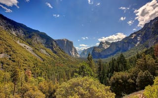 Картинка деревья, лес, ка­ли­фор­нийс­кая, йосемитский национальный парк, горы, пейзаж