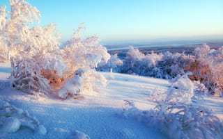 Картинка зима, зимние, время года, сезоны, сезонные, белый, пейзаж, природа, дерево, снег