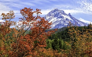 Обои деревья, осень, горы, пейзаж
