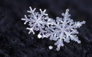 Обои снег, зима, кристаллы, снежинки