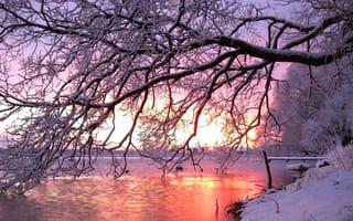 Обои река, снег, дерево, зима, закат