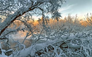 Картинка деревья, река, зима, ветки, снег