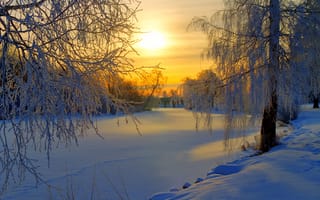 Картинка снег, зима, деревь, валлпапер, закат