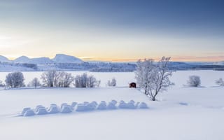 Обои деревья, тромс, зима, снег, избушка, сугробы, балсфьорд, норвегии, панорама, горы, норвегия, lyngen alps