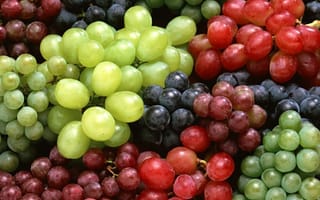 Обои виноград, белый виноград, синий виноград, красный виноград