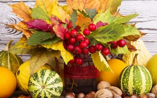 Обои листья, красотуля, осень, ягоды, орехи, тыква, fruits, осен, урожай, гайки, натюрморт