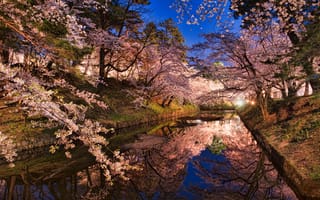 Картинка ночь, отражения, сакура, япония, город, весна, вода, канал, огни, хиросаки, цветущая, берега