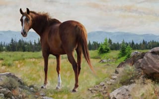 Обои лошадь, природа, картина, конь, графика, пейзаж, живопись