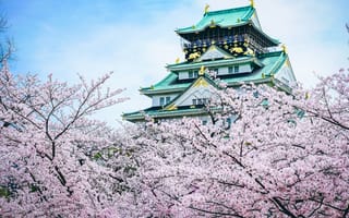 Картинка замок, япония, сакура, пагода