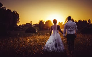 Обои закат, свадьба, жених, невеста, поле