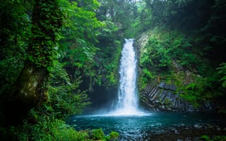 Обои природа, водопад, япония, лес