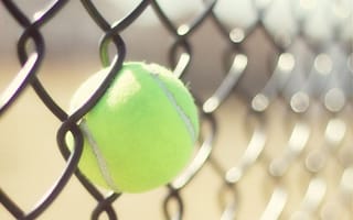 Картинка забор, теннис, сетка, спорт, мяч, тенис, бал
