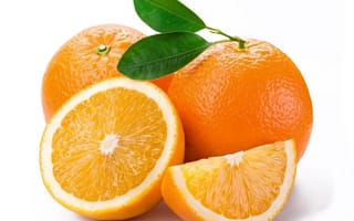 Обои макро, апельсины, белый, цитрусы, фрукты