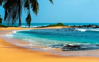 Картинка море, пальмы, отдых, пляж, лето, тропики