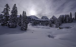 Картинка горы, швейцария, зима, домик, ели, альпы, снег, сугробы