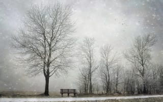 Обои снег, дерево, скамья, зима