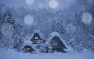 Картинка деревья, лес, зима, japan, домики, япония, снег, сиракава, shirakawa-go, деревня