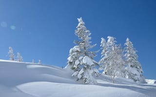 Картинка небо, japan, yatsugatake mountains, деревья, снег, япония, зима, сугробы