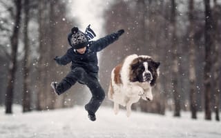 Картинка снег, собака, животные, зима, мальчик, ребенок, московская сторожевая