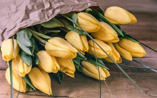 Картинка цветы, желтые, букет, тюльпаны, бутоны