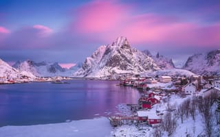 Картинка свет, утро, розовое небо, лофотенские острова, норвегия, поселок, городок