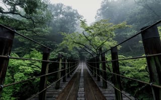 Картинка деревья, япония, мост, дымка, природа