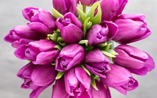 Картинка цветы, букет, весенние, розовые, красива, парное, пинк, тульпаны, тюльпаны, лиловая