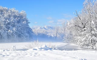 Картинка небо, зима, холодно, пейзаж, снег, облака, деревья