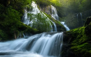Картинка река, зелень, весна, лето, сша, водопад, природа, лес, panther creek falls