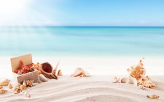 Картинка солнце, песок, песка, пляж, seashells, ракушки, море, морская звезда, лето, каникулы, летнее