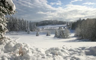 Картинка озеро, снег, лёд, ели, зима, горы