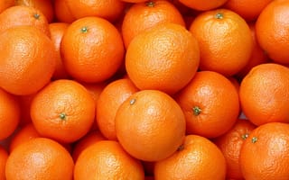 Обои еда, апельсины, апельсин, цитрусы, фрукты