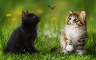 Картинка трава, божья коровка, котята, кошки, животные, насекомое