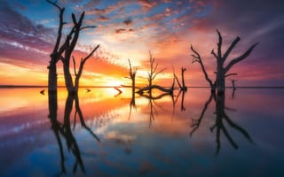 Картинка небо, отражение, вода, вечер, солнце, природа, австралия, свет, деревья