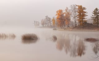 Картинка деревья, озеро, река, берег, дымка, туман