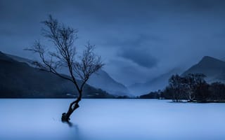Картинка озеро, уэльс, национальный парк сноудония, великобритания, горы, дерево