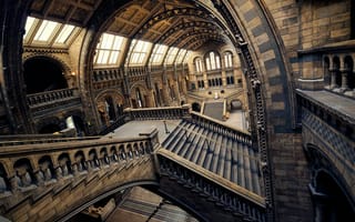 Обои лестница, лондон, музей естествознания, англия, зал
