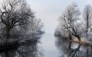 Картинка деревья, отражение, зима, туман, река, чёрно-белое, ветки